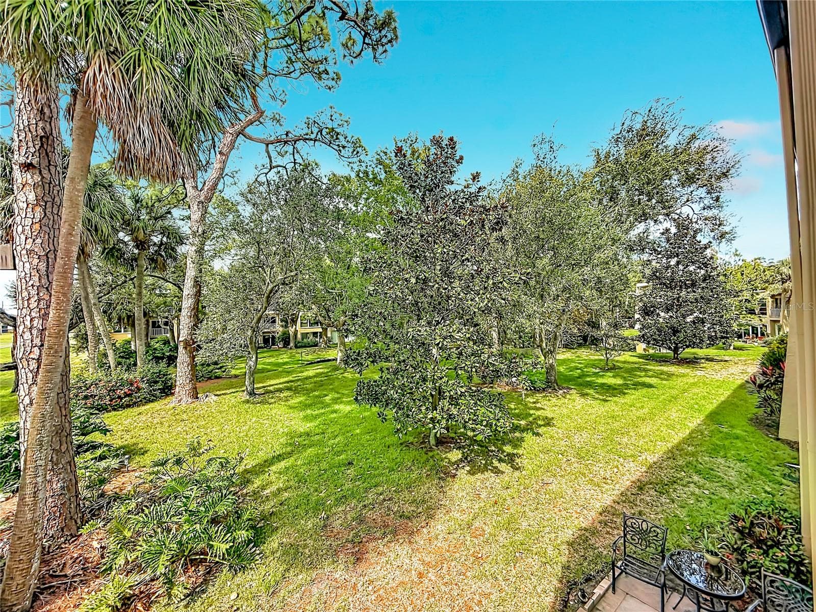 View from living and bonus room - 225 COUNTRY CLUB DR #E252, LARGO