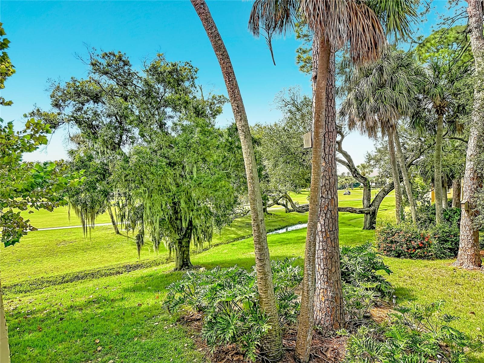Tranquil views from condo - 225 COUNTRY CLUB DR #E252, LARGO