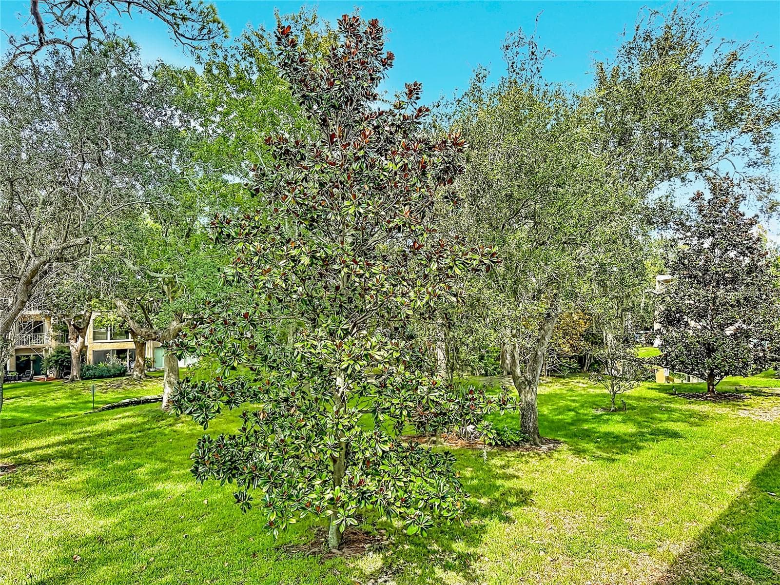 Garden area - 225 COUNTRY CLUB DR #E252, LARGO