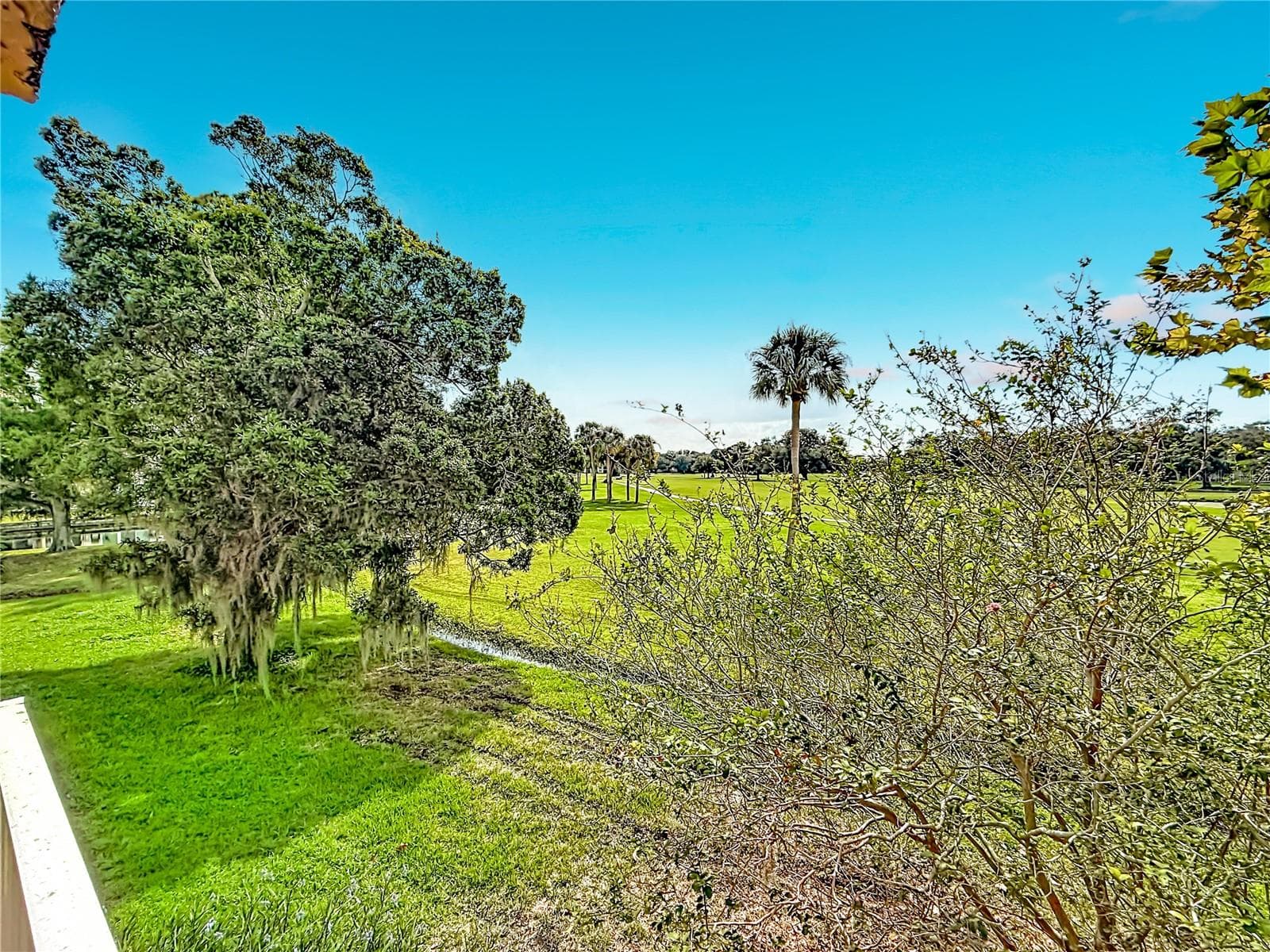 Views - 225 COUNTRY CLUB DR #E252, LARGO