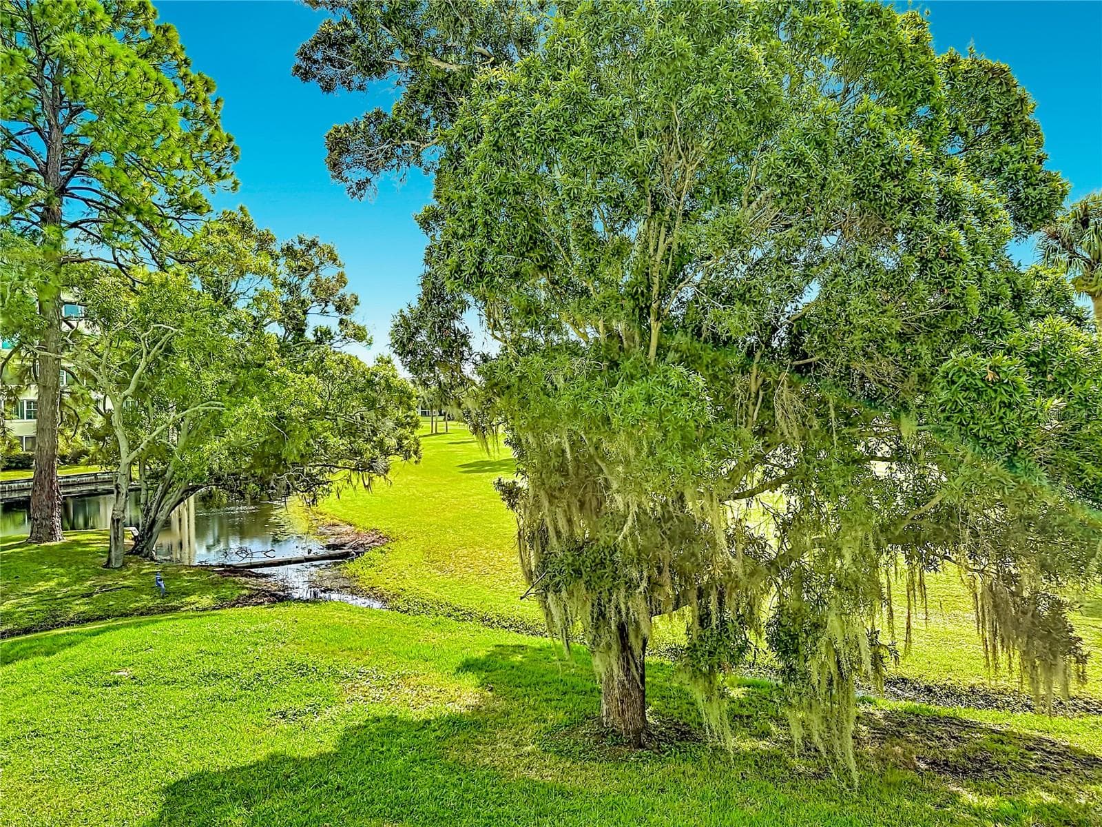View of garden area - 225 COUNTRY CLUB DR #E252, LARGO