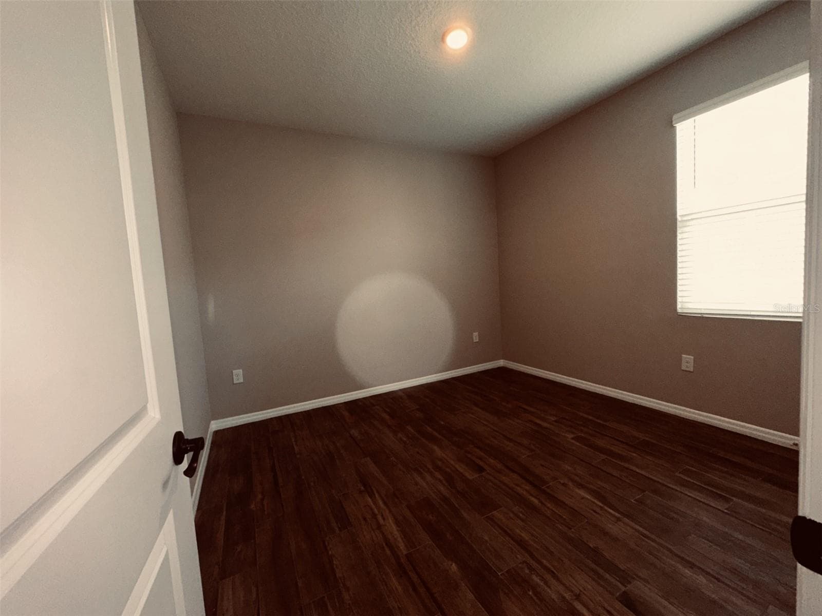 Bedroom 2 - 13413 GOLDEN LIME AVE, SPRING HILL