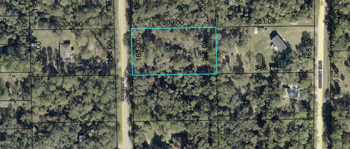 Land at 2075 BAYBERRY ST, BUNNELL, photo 2 of 3