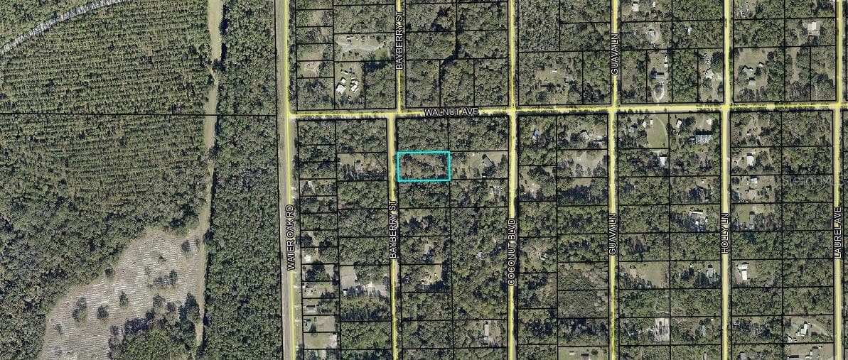 Land at 2075 BAYBERRY ST, BUNNELL, photo 3 of 3