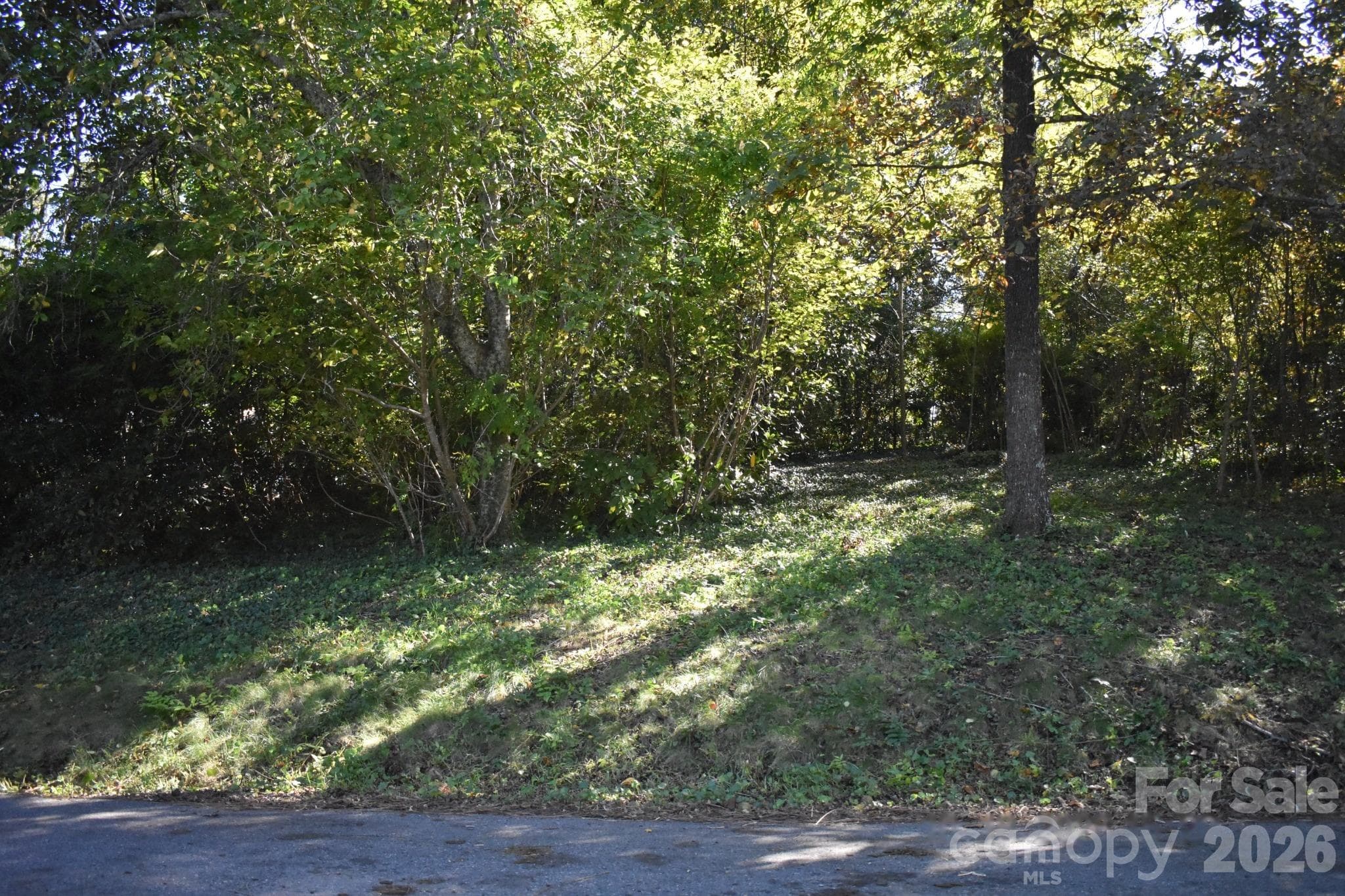 View from Road 2 - 0 Fernwood Drive, Rutherfordton
