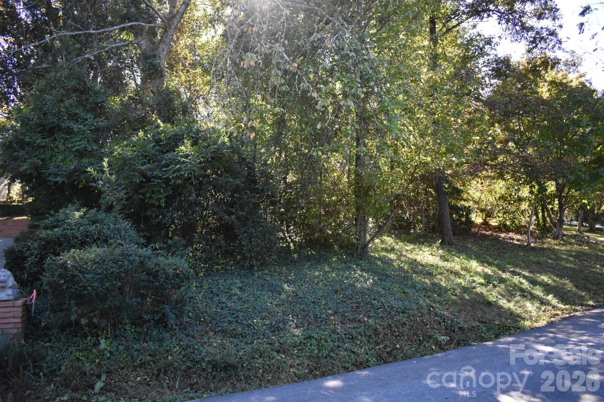 Left front View - 0 Fernwood Drive, Rutherfordton