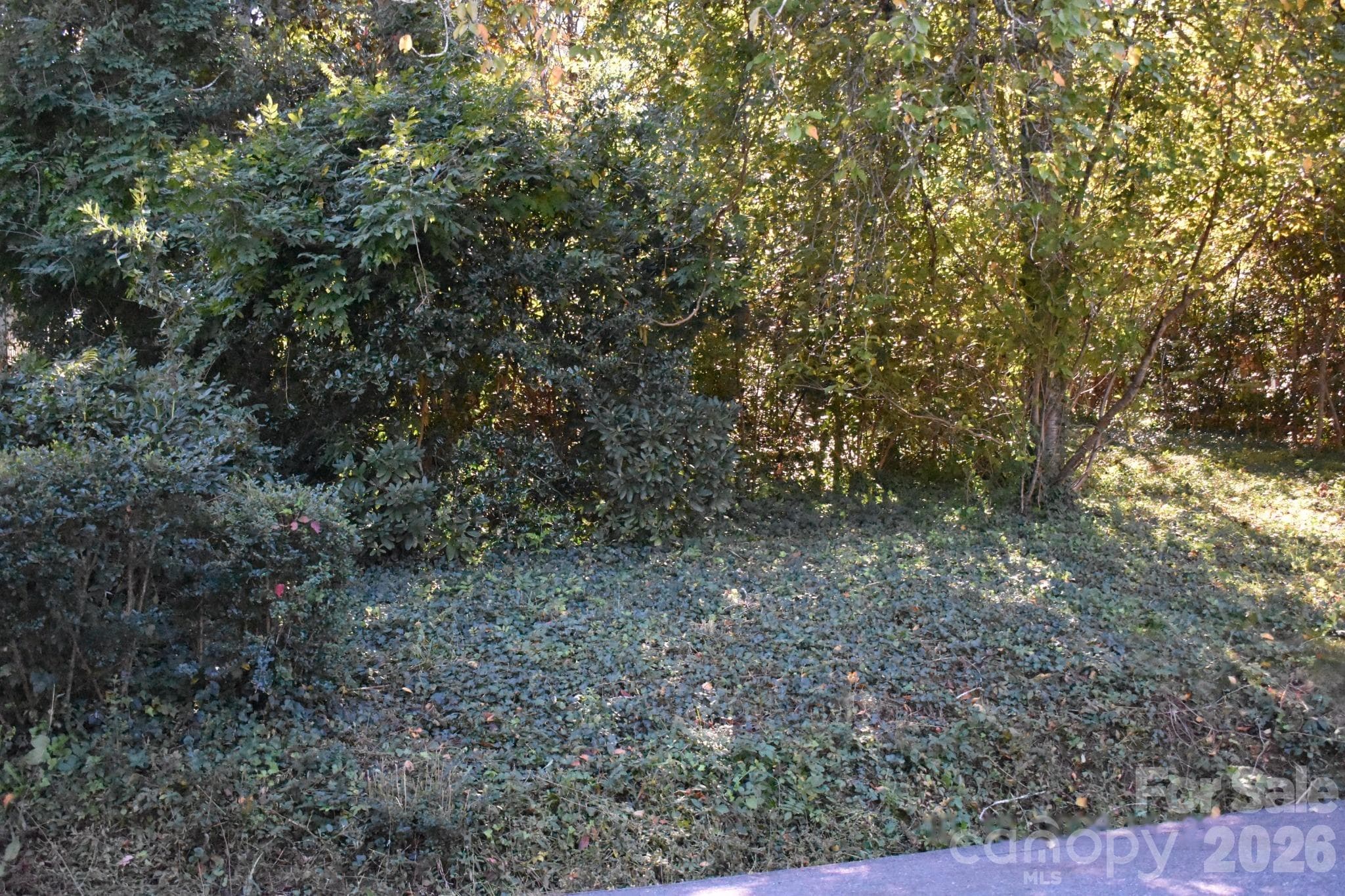 Left front View 2 - 0 Fernwood Drive, Rutherfordton
