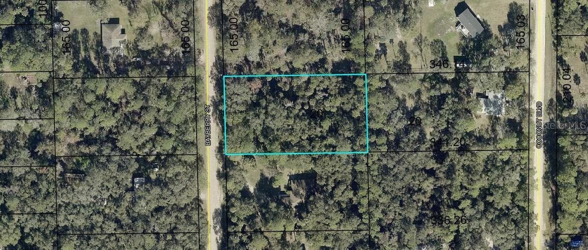 Land at 2107 BAYBERRY ST, BUNNELL, photo 2 of 3