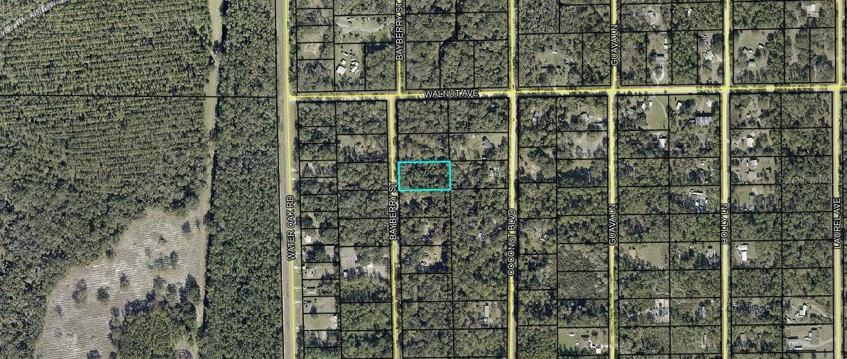 Land at 2107 BAYBERRY ST, BUNNELL, photo 3 of 3