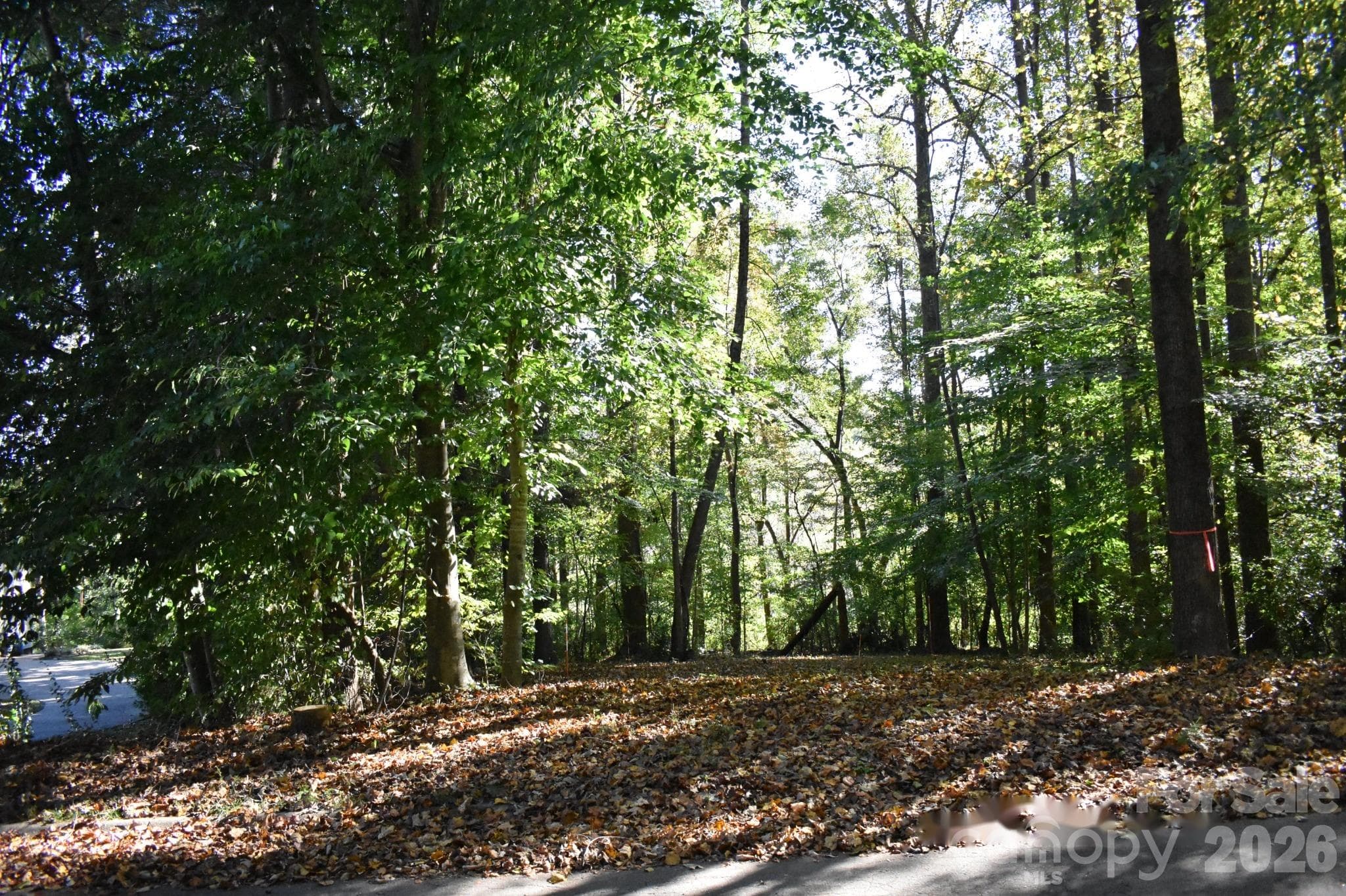 Entrance - 0 General Griffith Circle, Rutherfordton