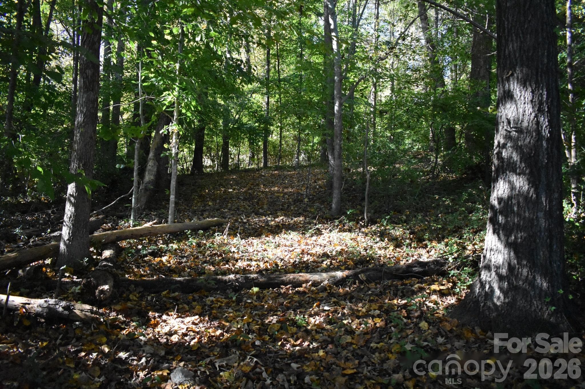Rear left corner of proper - 0 General Griffith Circle, Rutherfordton