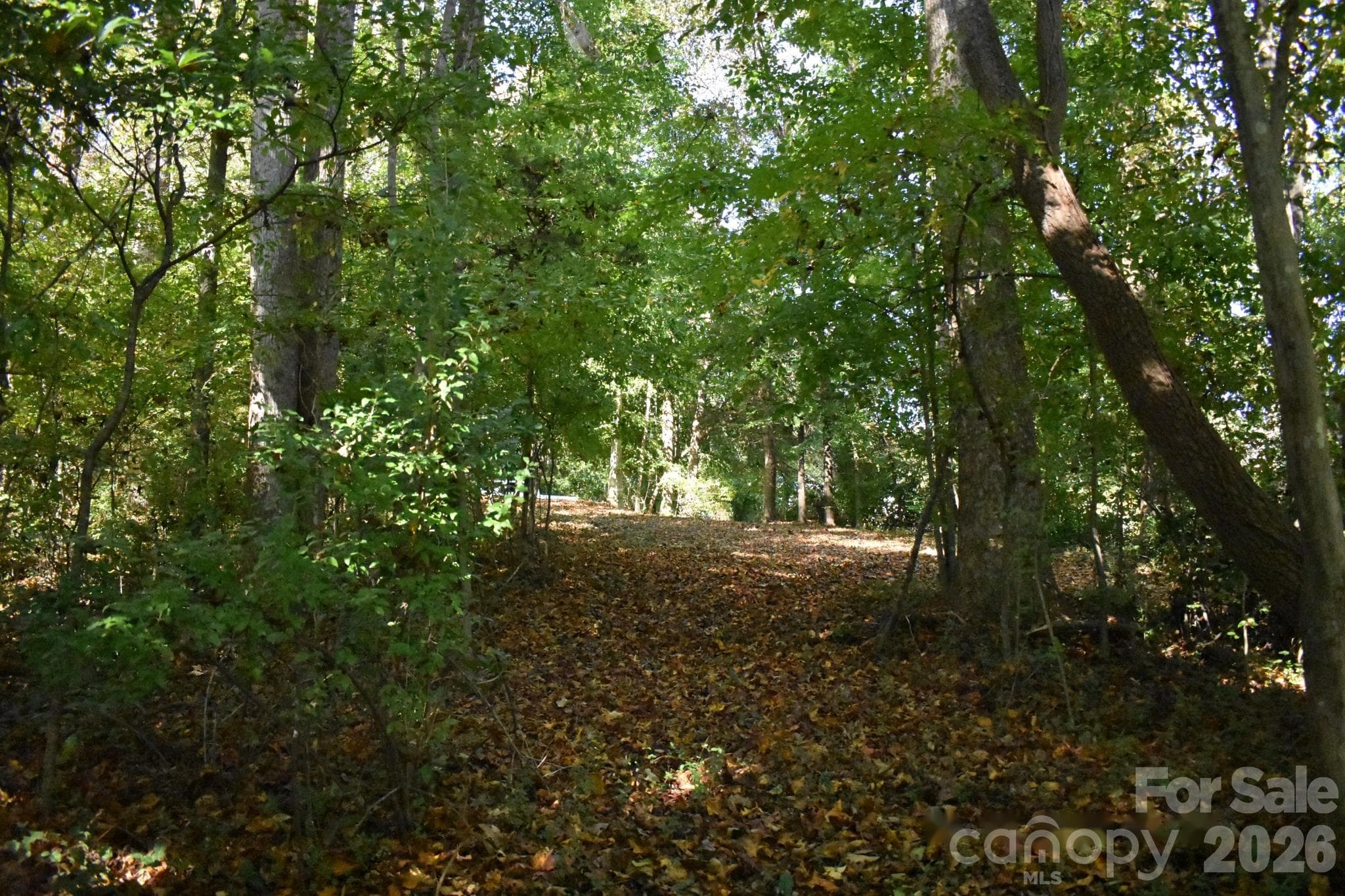 Rear Right corner of property - 0 General Griffith Circle, Rutherfordton