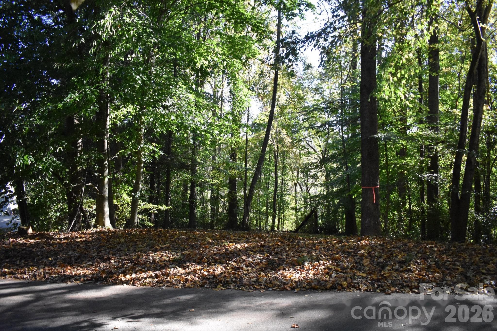 Another Road View - 0 General Griffith Circle, Rutherfordton
