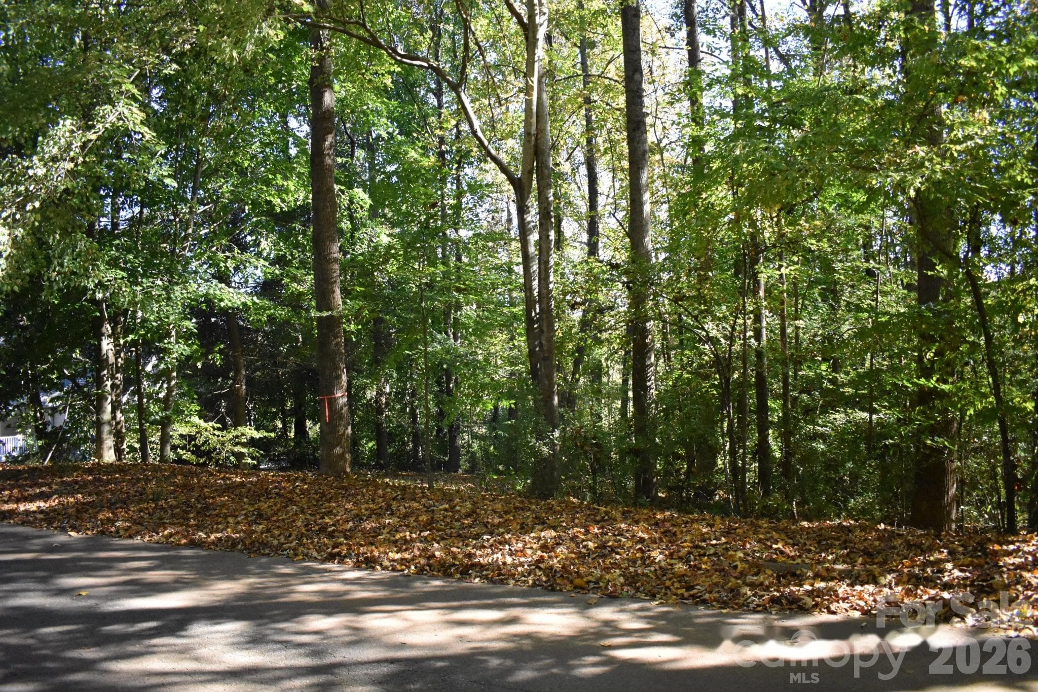 Lot at 0 General Griffith Circle, Rutherfordton, photo 7 of 7