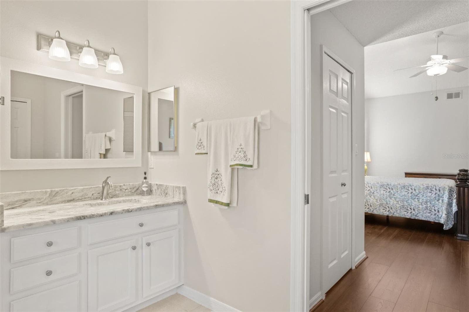 Primary ensuite - 4704 RIVER RIDGE DR, LEESBURG