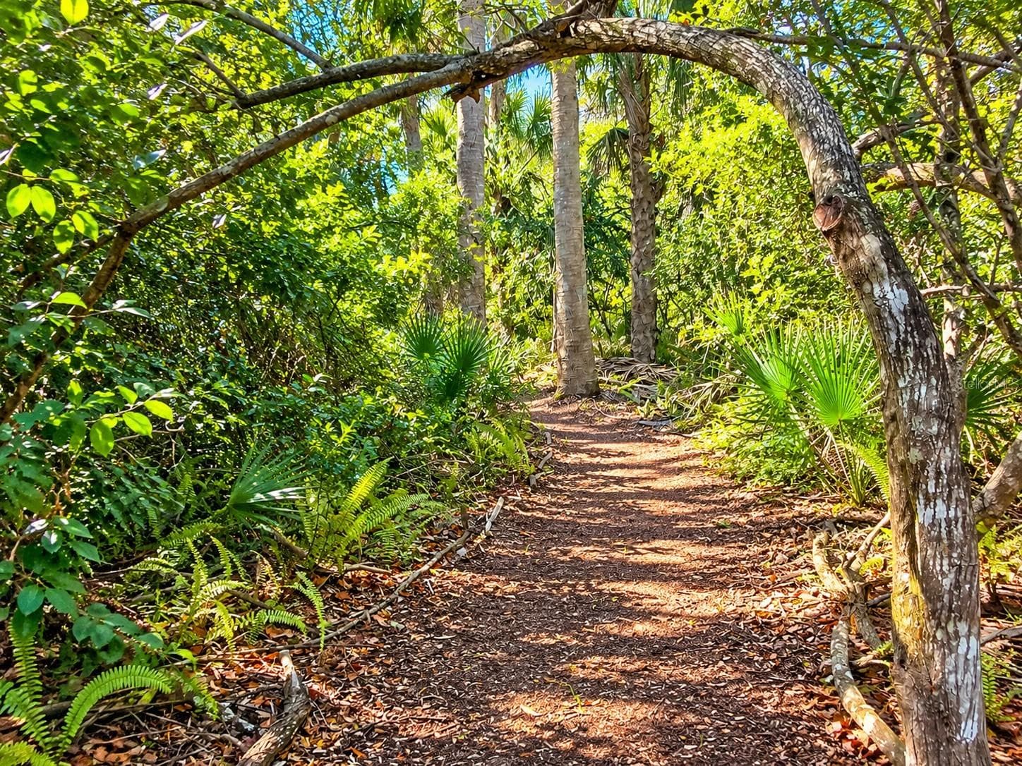Land at 26051 EAVERSON RD, PUNTA GORDA, photo 6 of 18