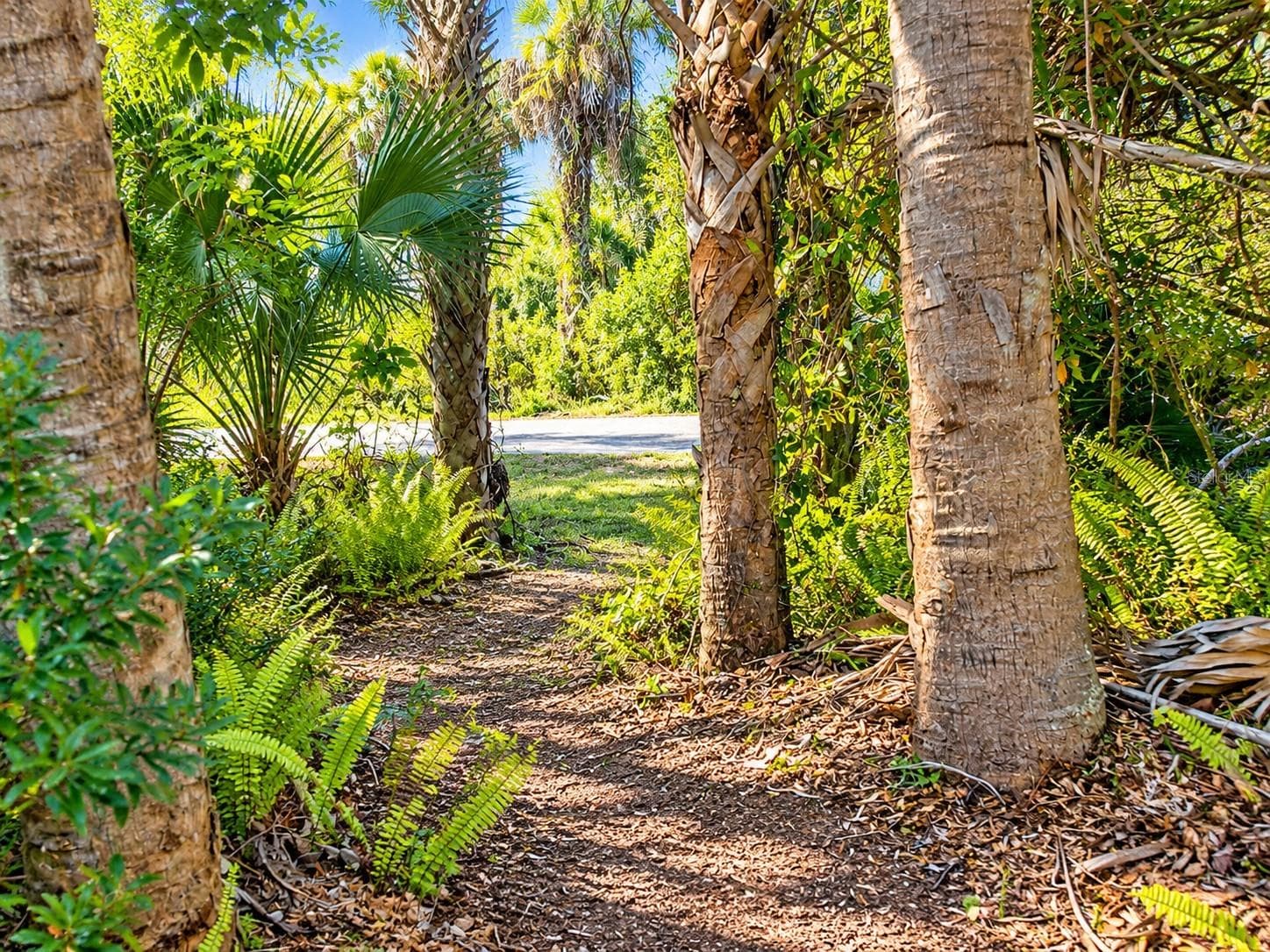 Land at 26051 EAVERSON RD, PUNTA GORDA, photo 8 of 18
