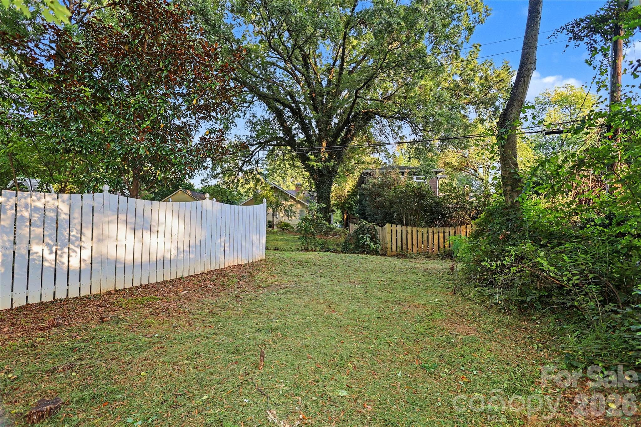 Rear alleyway - 1933 Park Road, Charlotte