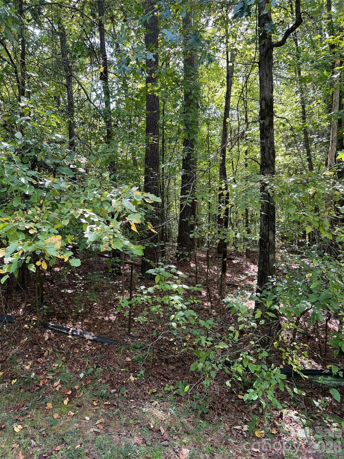 TBD Sanctuary Lane