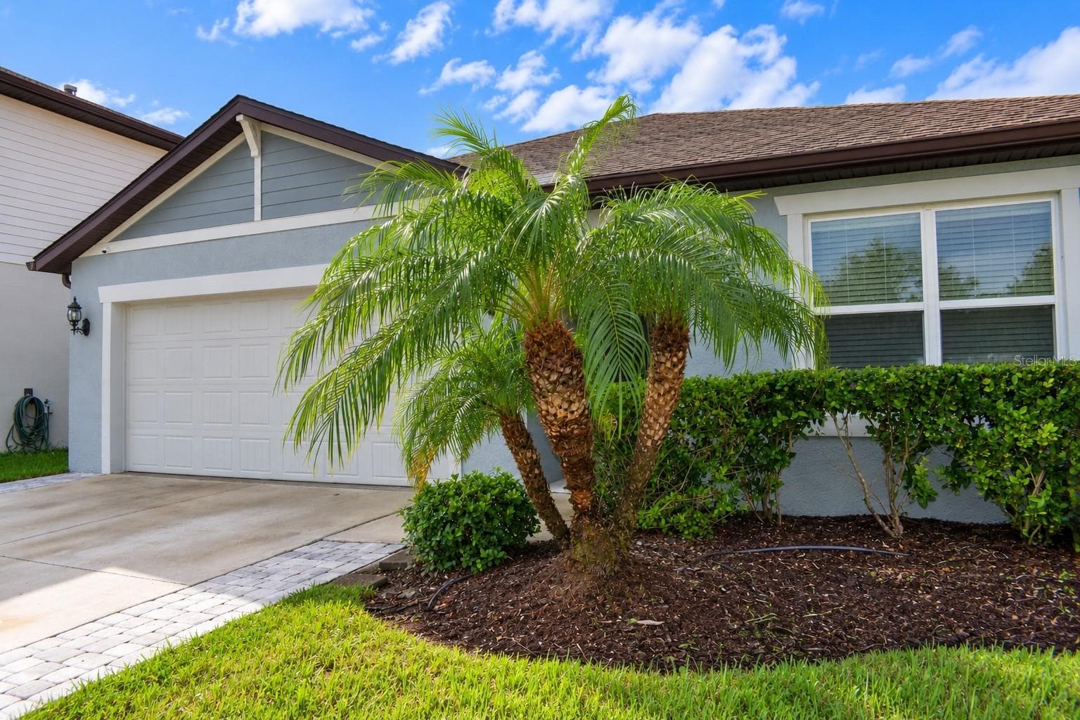 Inviting Curb Appeal with Beautiful Landscaping - 30390 CARAVELLE LN, WESLEY CHAPEL