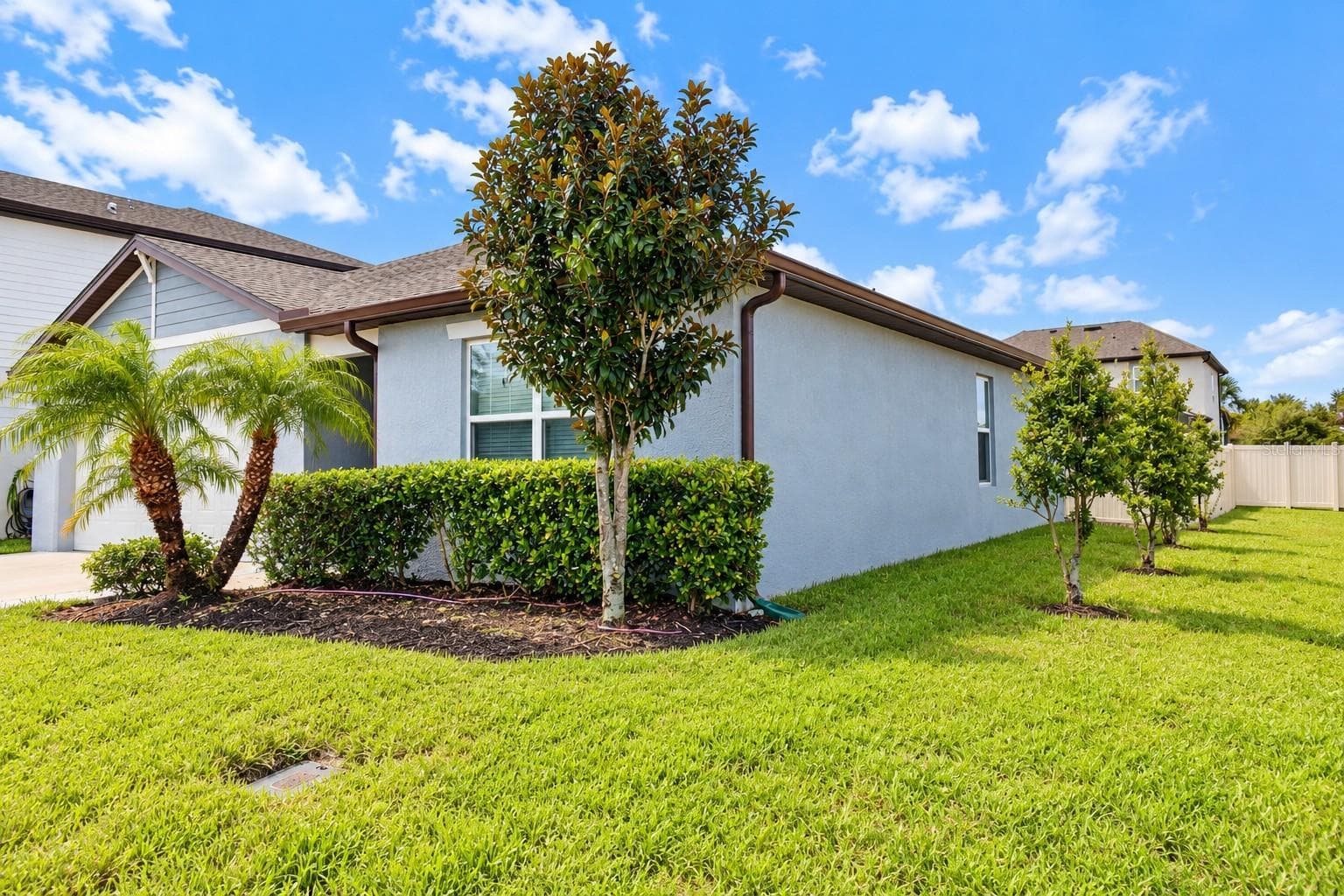 Exterior Side Yard and Landscaping - 30390 CARAVELLE LN, WESLEY CHAPEL