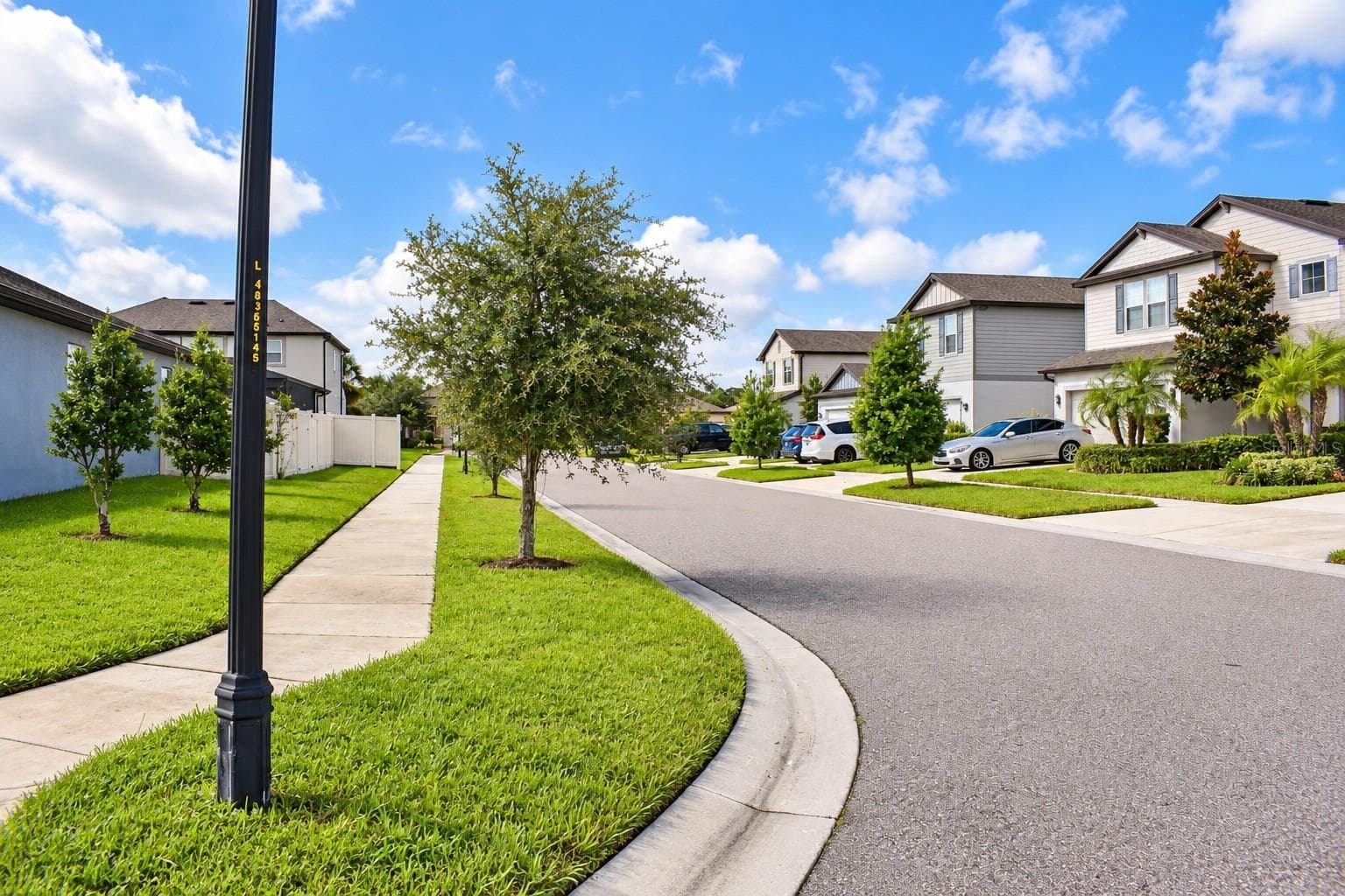 Neighborhood Streetscape - 30390 CARAVELLE LN, WESLEY CHAPEL