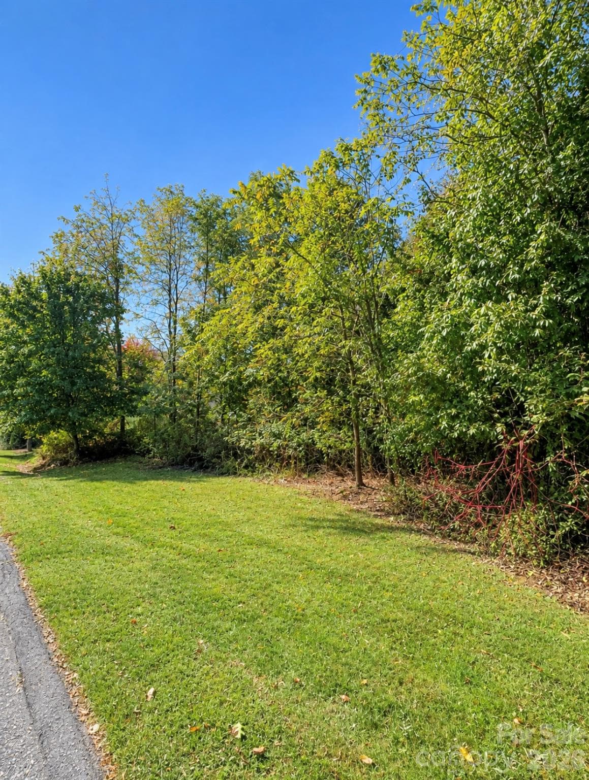 Lot at 0000 Ladys Fern Trail, Hendersonville, photo 5 of 12