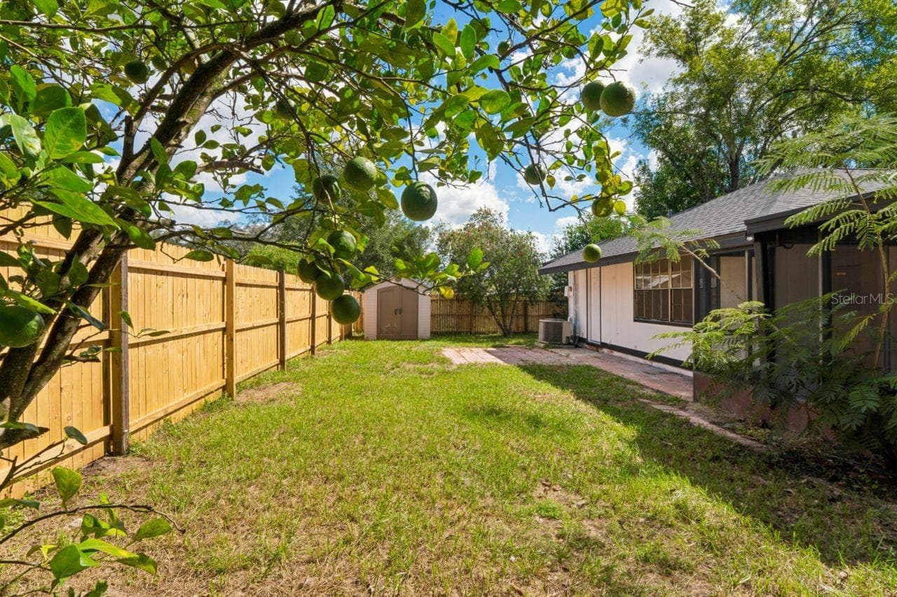 Fenced Yard - 31043 WILLOW BANK AVE, BROOKSVILLE