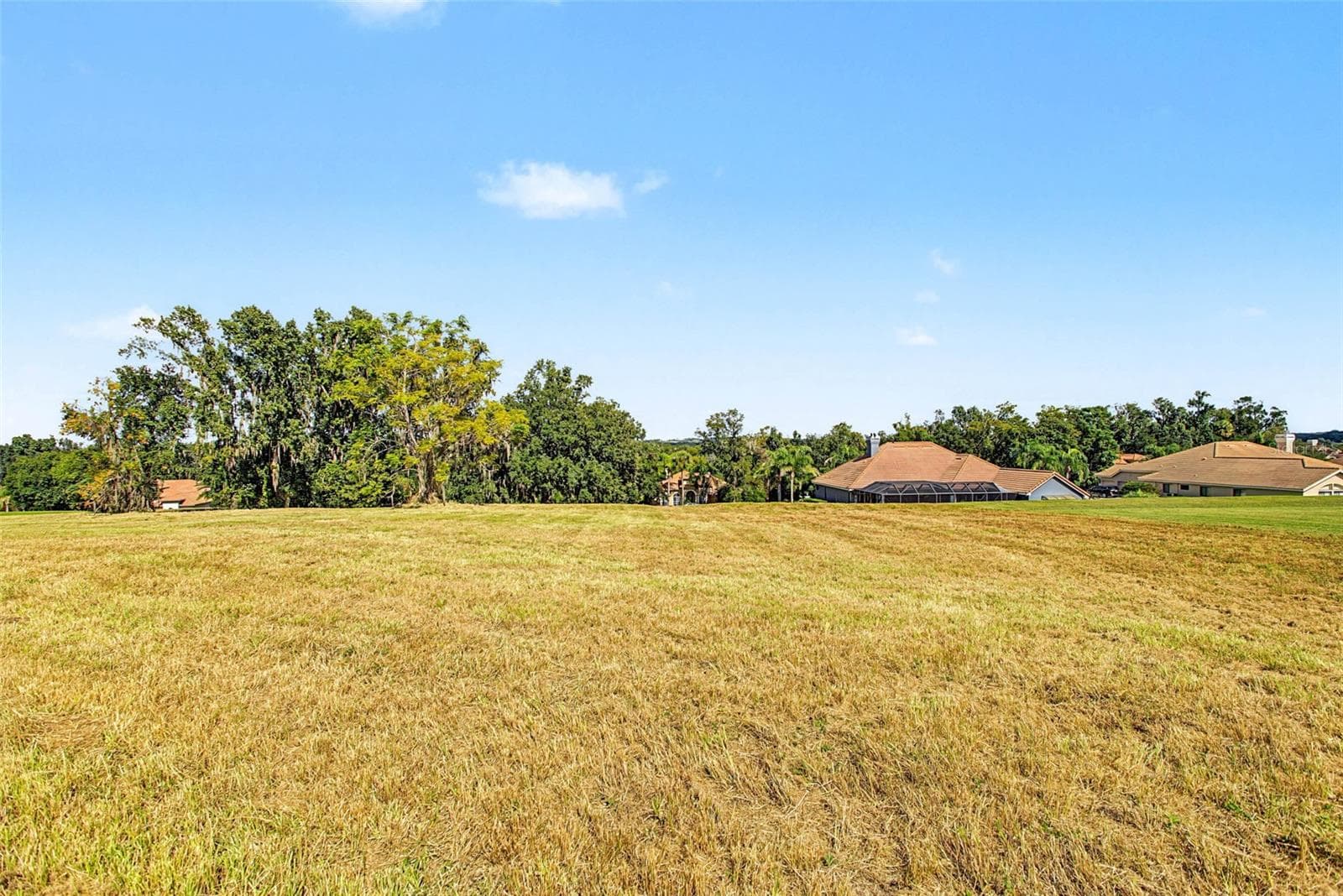Land at 13628 CARNOUSTIE CIR, DADE CITY, photo 4 of 21