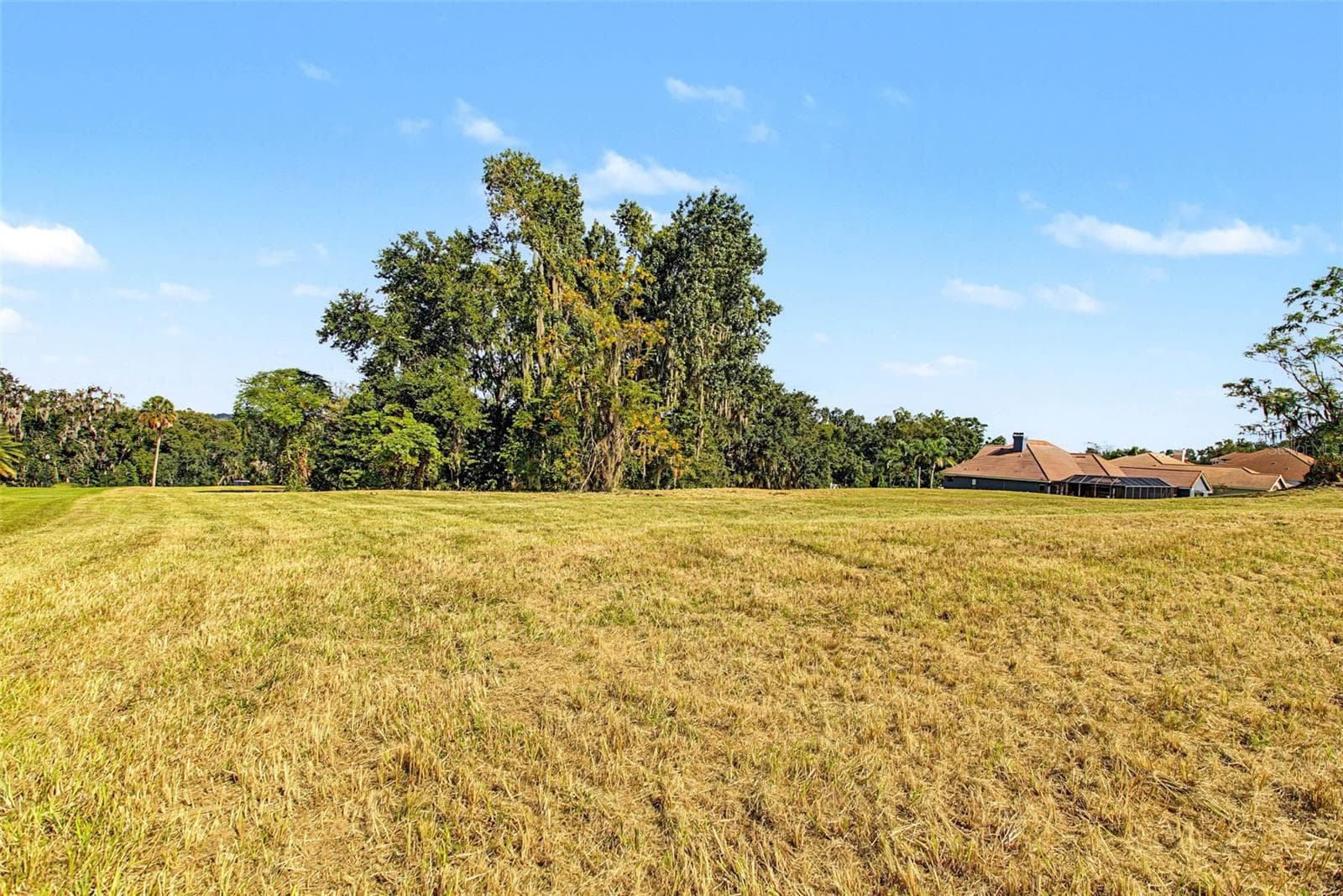 Land at 13620 CARNOUSTIE CIR, DADE CITY, photo 4 of 19