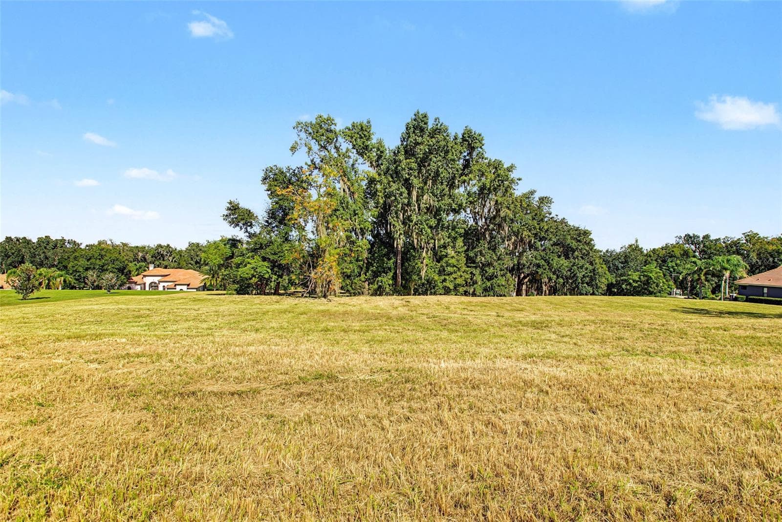 Land at 13620 CARNOUSTIE CIR, DADE CITY, photo 5 of 19