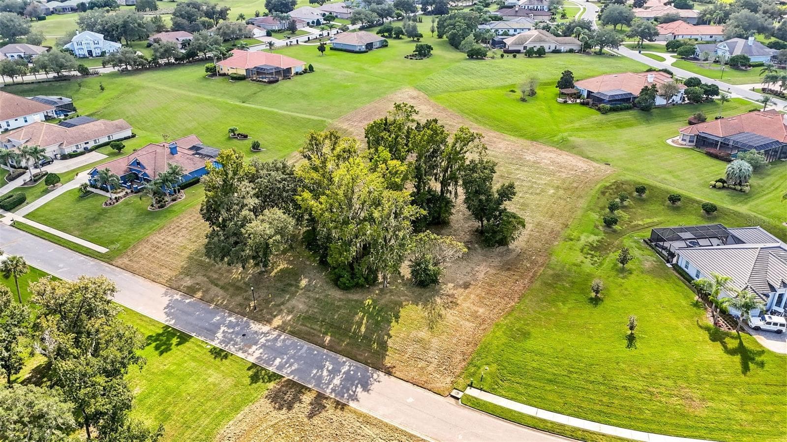 Land at 13620 CARNOUSTIE CIR, DADE CITY, photo 8 of 19
