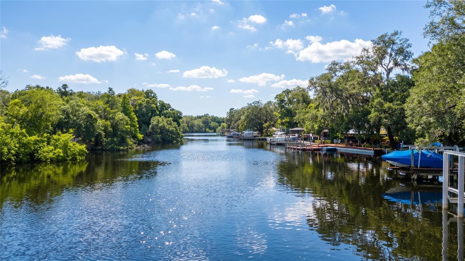 The Hillsborough River right outside your door! - 7308 N OLA AVE, TAMPA