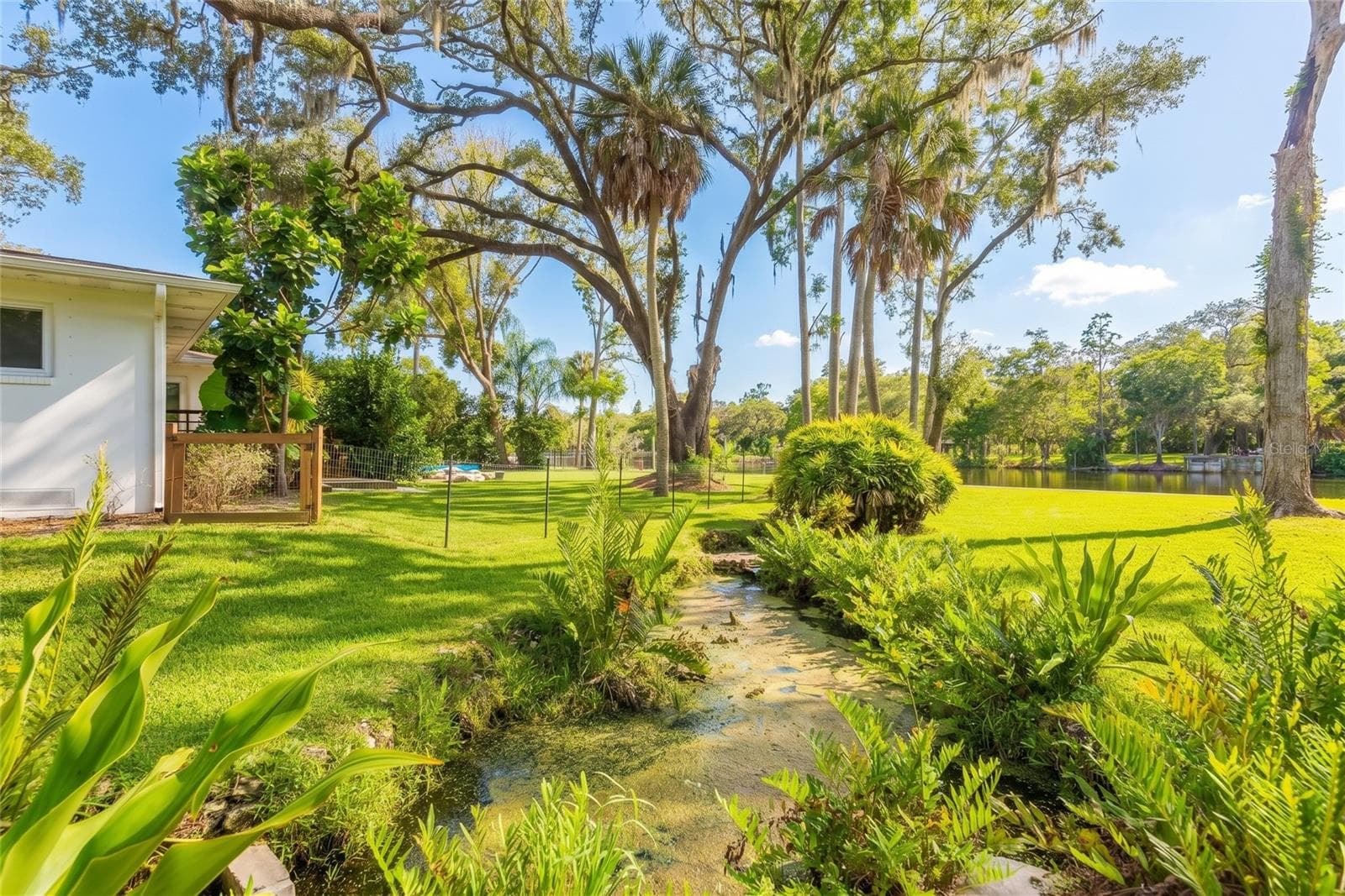 The creek - 7308 N OLA AVE, TAMPA