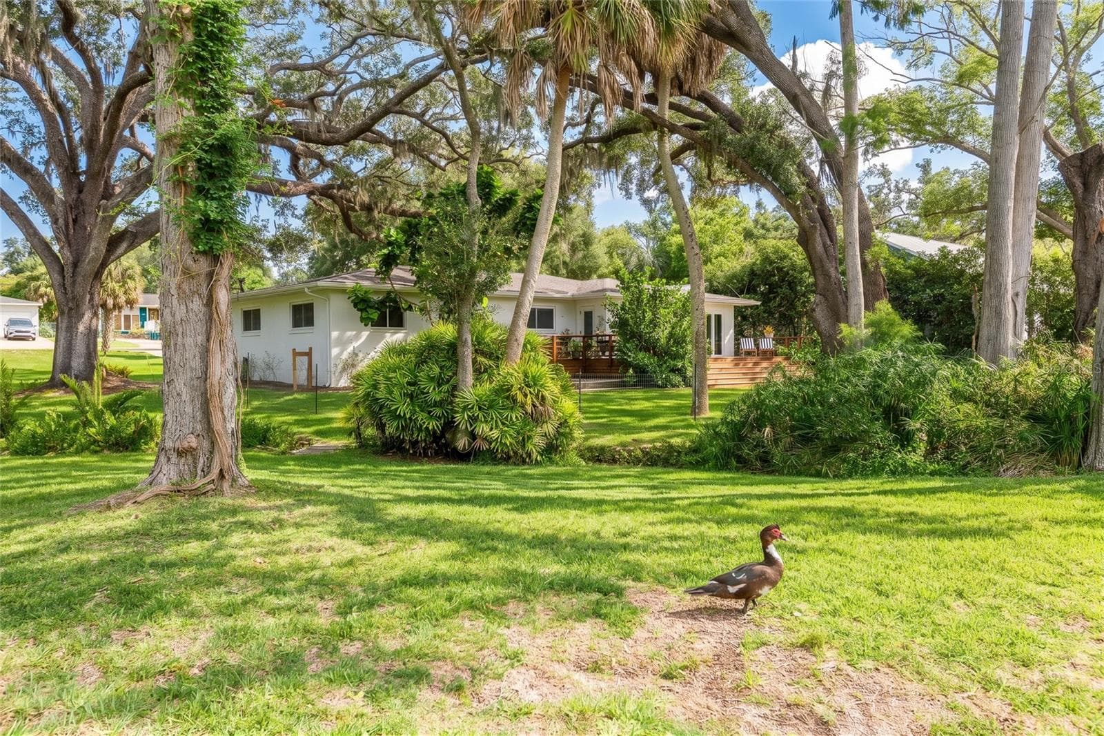 Single Family Residence at 7308 N OLA AVE, TAMPA, photo 58 of 85