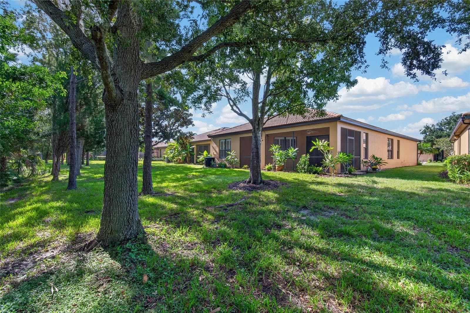 Rear of Property - 213 SILVER FALLS DR, APOLLO BEACH