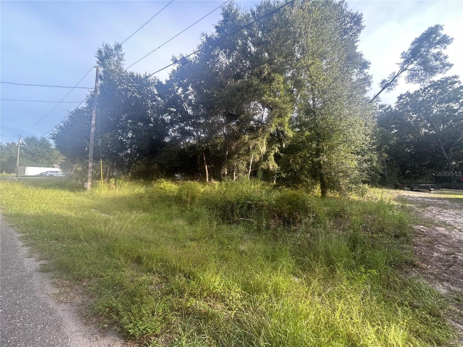 Land at 0000 GUAVA TER #4, OCKLAWAHA, photo 3 of 5