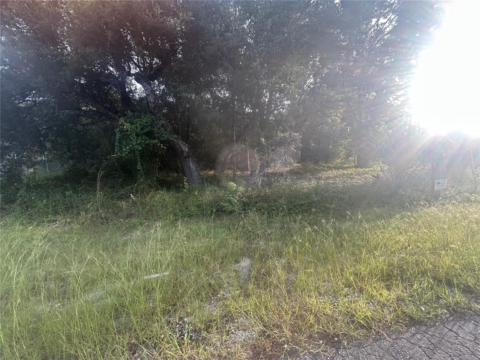 Land at 0000 GUAVA TER #4, OCKLAWAHA, photo 4 of 5