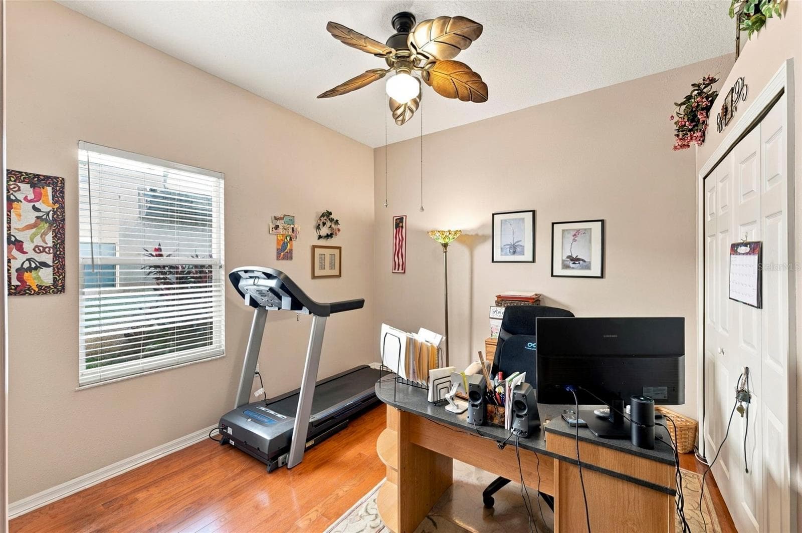 Flex room/ OFFICE or Addtional Bedroom - has two closets - 23442 VISTAMAR CT, LAND O LAKES