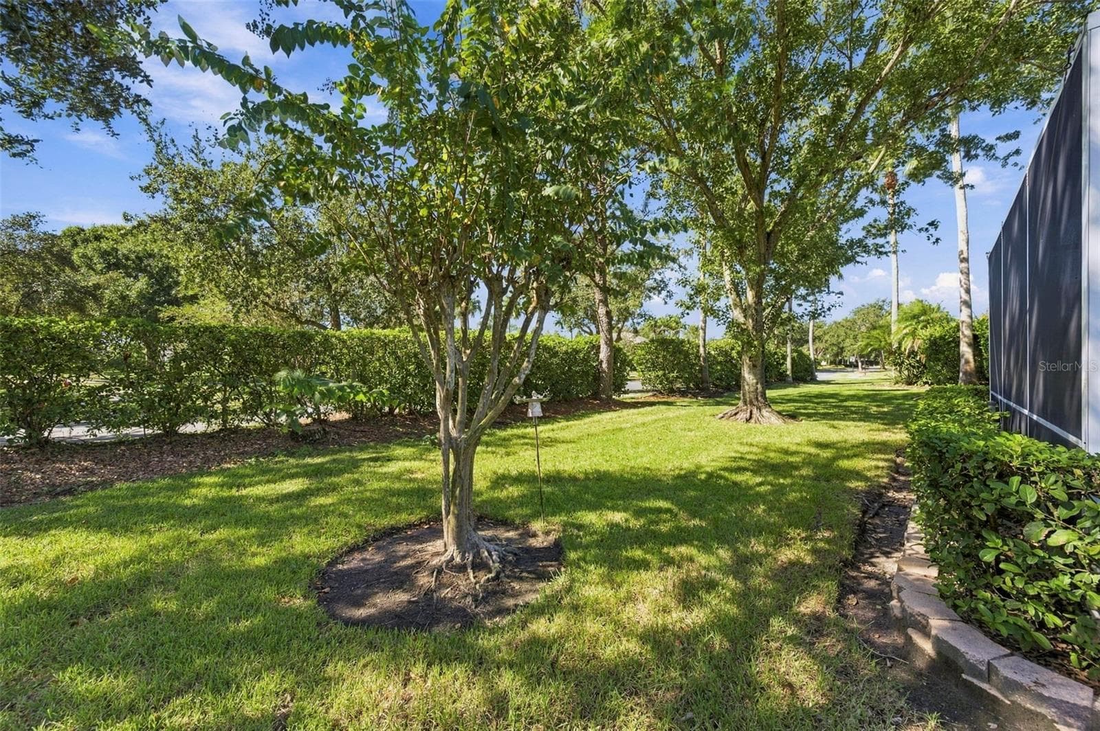 Single Family Residence at 23442 VISTAMAR CT, LAND O LAKES, photo 55 of 75