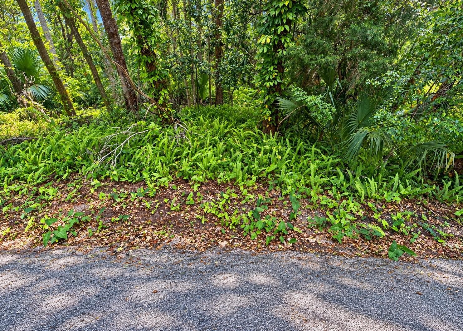 Lot number three - 0 OLIVE ST, BROOKSVILLE