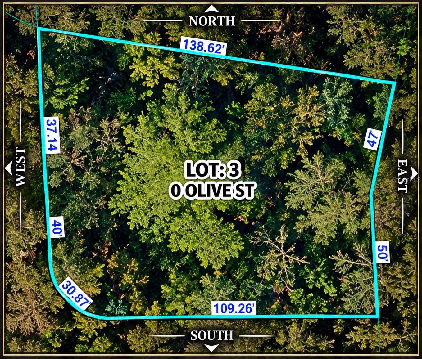 Land at 0 OLIVE ST, BROOKSVILLE, photo 6 of 7