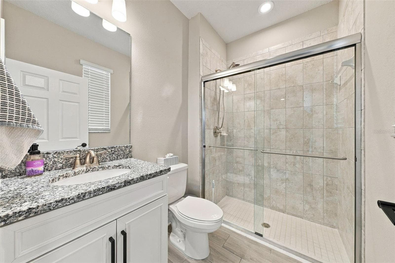 Single Family Residence at 4904 EAGLE ROCK DR, WIMAUMA, photo 40 of 70