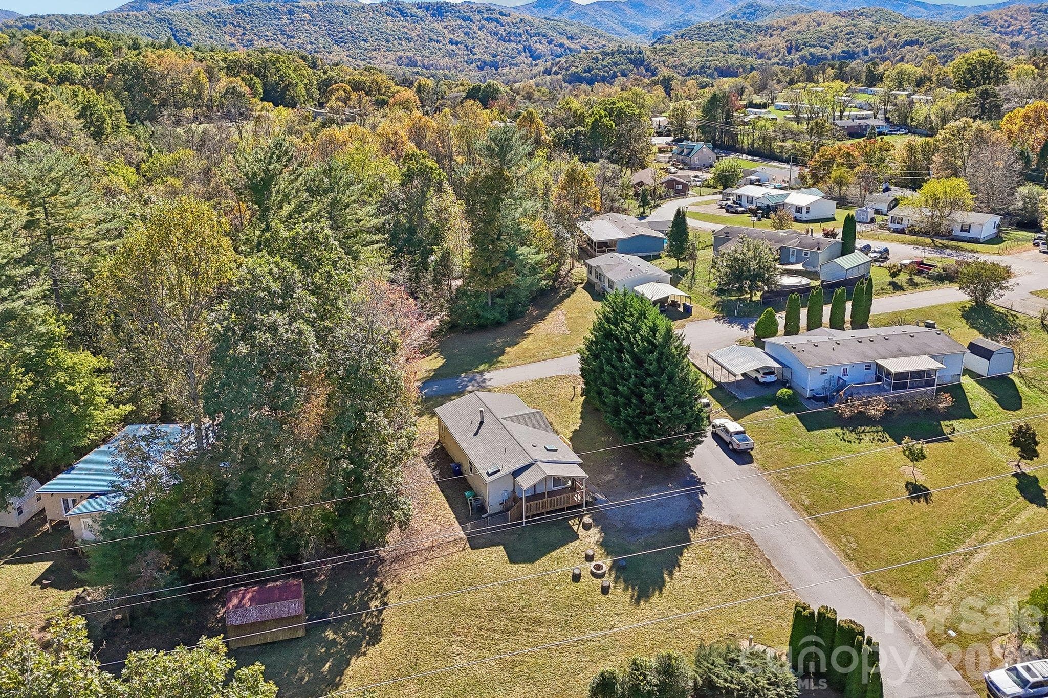 Mountain vistas surround the property. - 202 Banyan Road, Candler