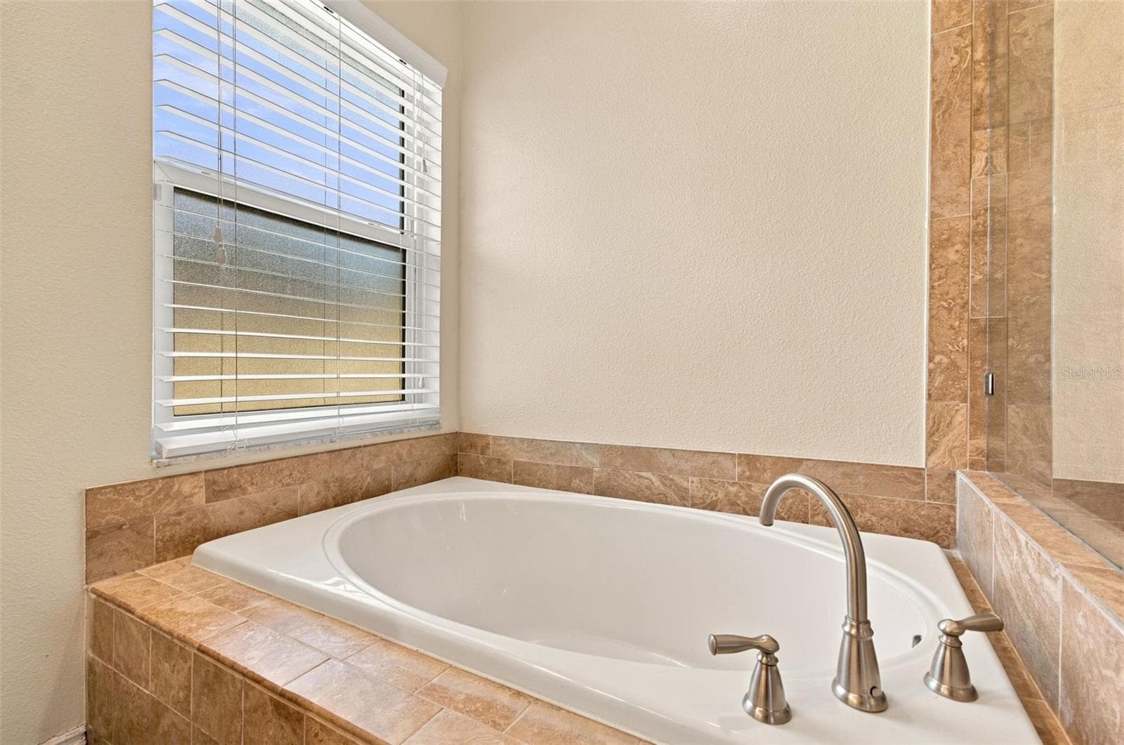 Primary bath - 19302 GARDEN QUILT CIR, LUTZ