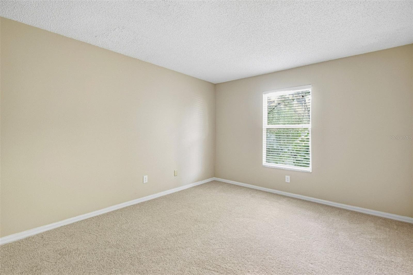 Single Family Residence at 9006 DIXIANA VILLA CIR, TAMPA, photo 82 of 109
