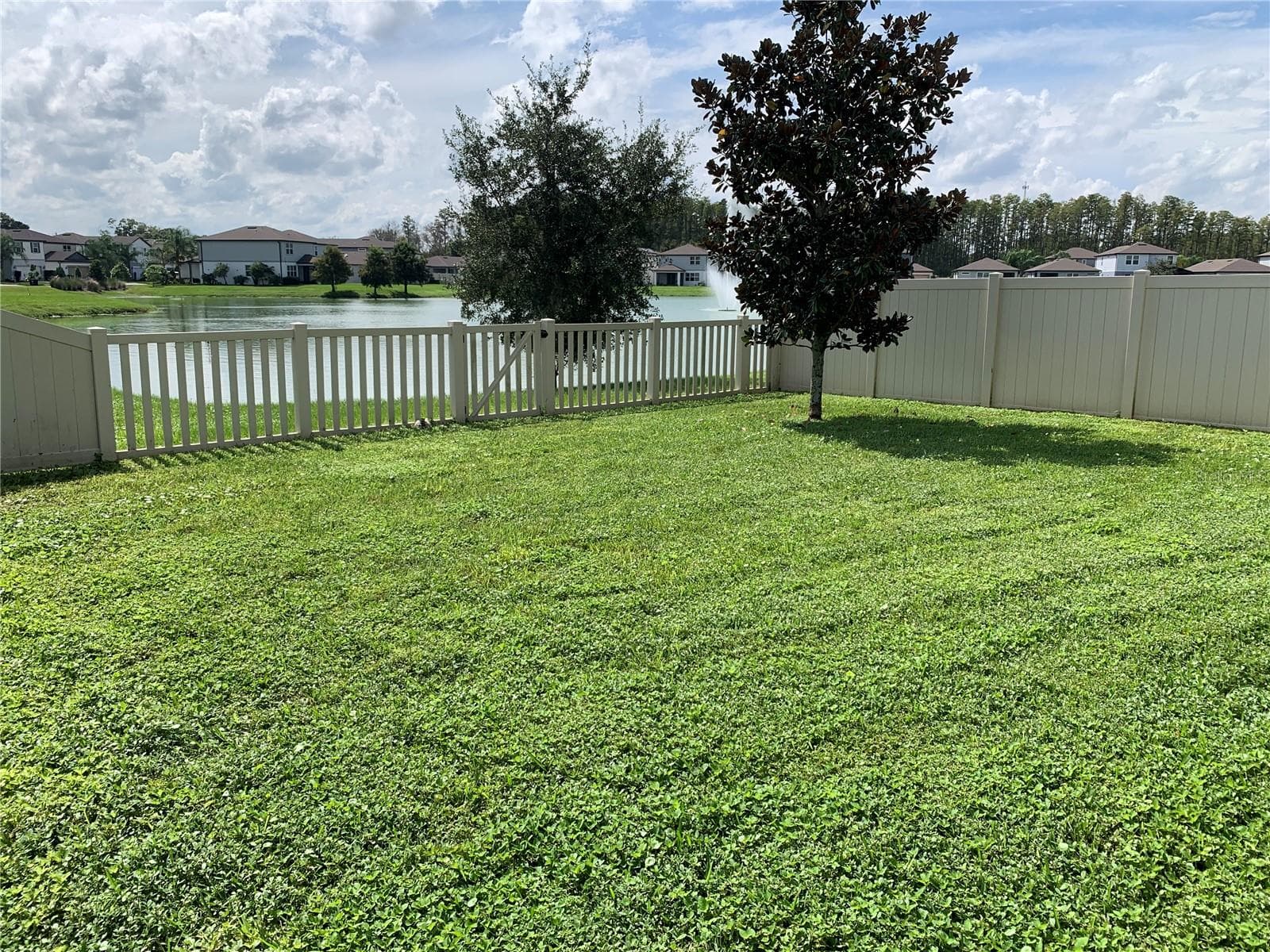 Backyard - 20651 MONZA LOOP, LAND O LAKES