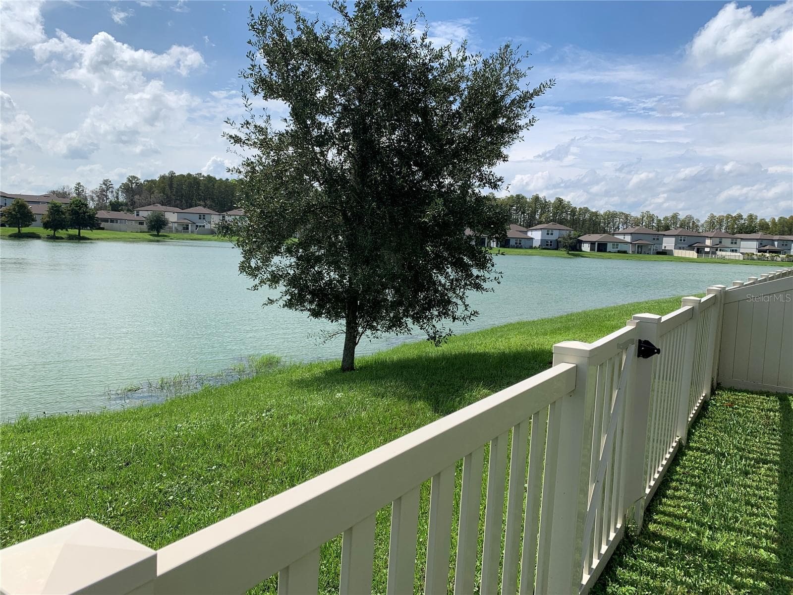 Pond - 20651 MONZA LOOP, LAND O LAKES
