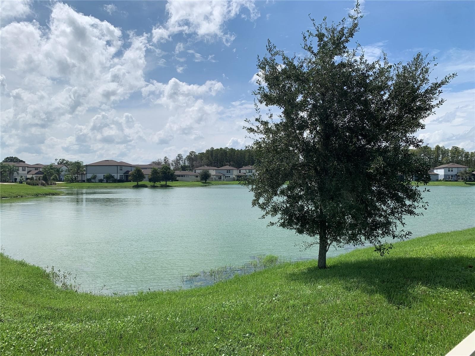 Pond - 20651 MONZA LOOP, LAND O LAKES