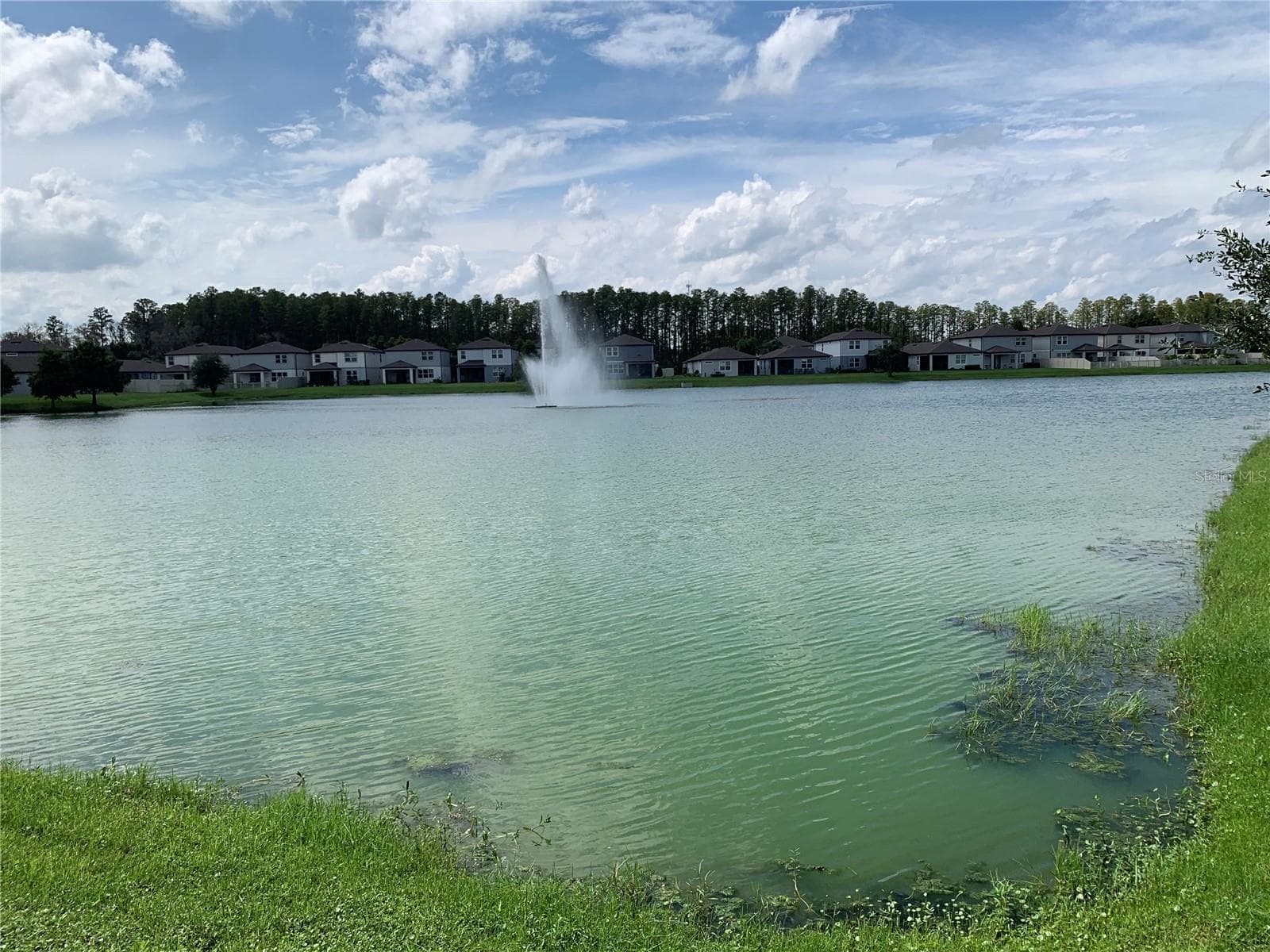 Pond - 20651 MONZA LOOP, LAND O LAKES